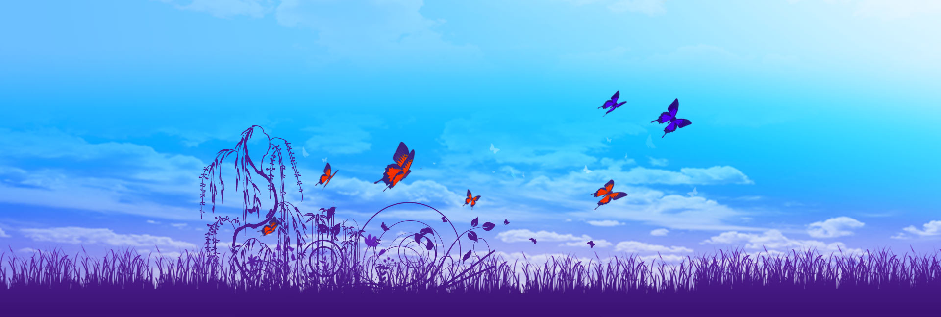 header-home